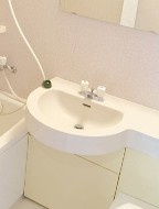 APT.4316の洗面所