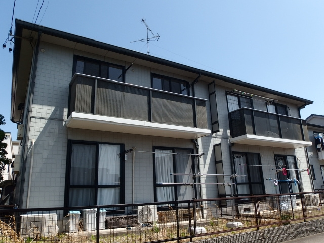 グリーンヒル光