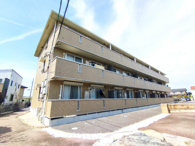 ジラソーレ（赤渋）