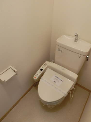 広島市南区向洋新町１丁目の賃貸マンションのトイレ|トイレです