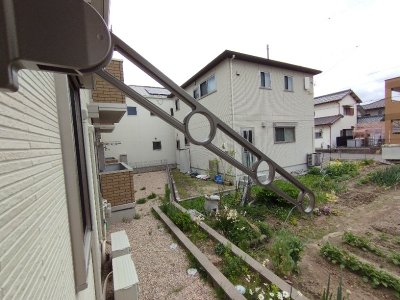 ドミール・Ｔのその他