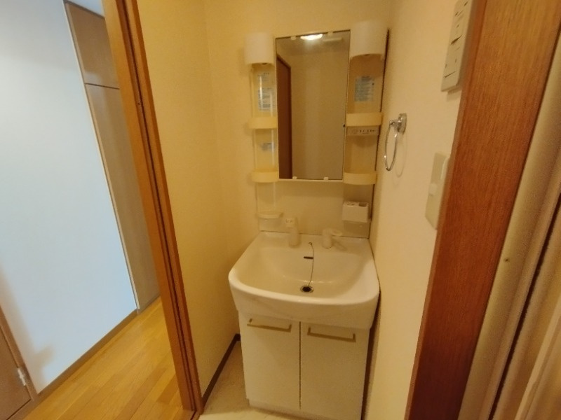 ドミールＴＦの洗面所