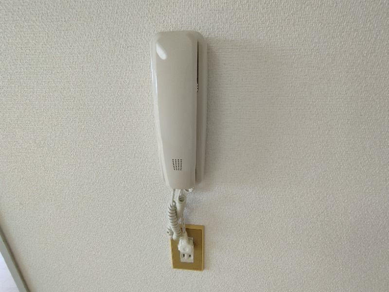 リーベンデールのセキュリティ