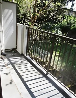 相模原市緑区下九沢の賃貸マンションのバルコニー