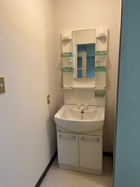 相模原市緑区下九沢の賃貸マンションの洗面所