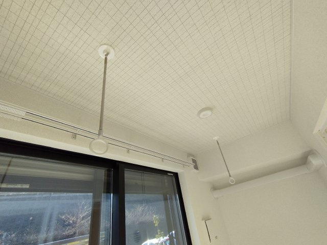 プリンセス・ツリーⅢのその他