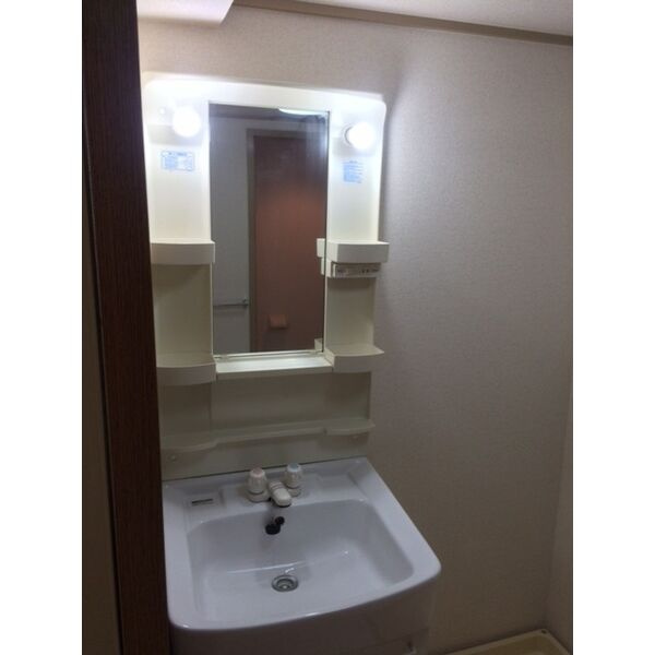 サンホーム愛宕の洗面所