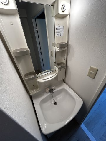 ハーバーハウス大阪の洗面所