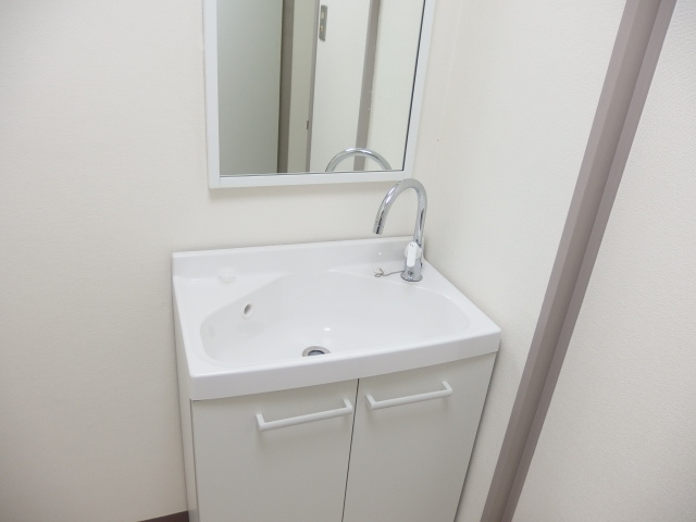 メゾンむつなの洗面所