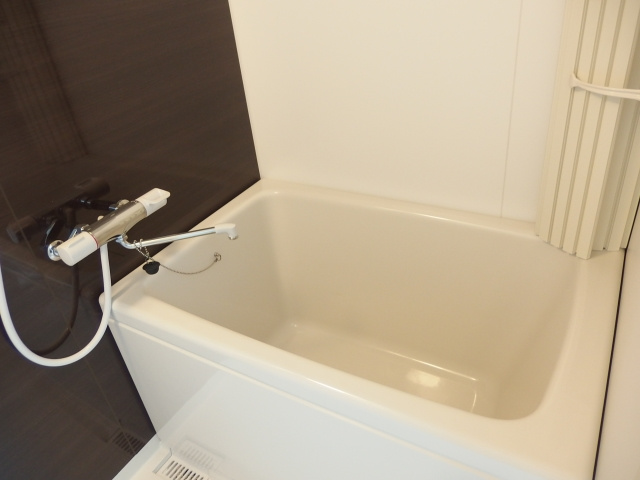 メゾンむつなの浴室