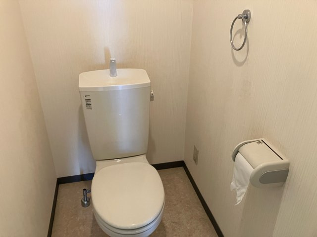 LeePLAZAⅡ(T)のトイレ