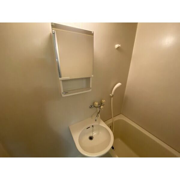 プリムローズ２１の洗面所