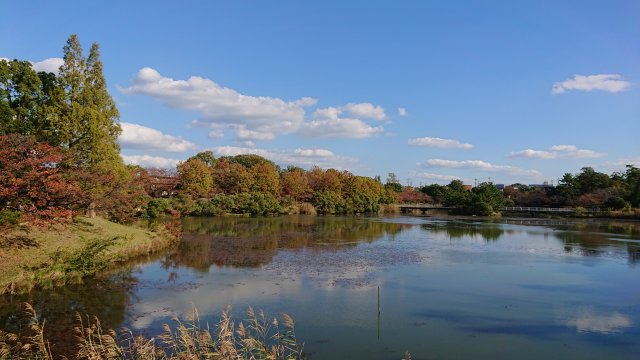 長久手市杁ヶ池一棟売りマンションのその他