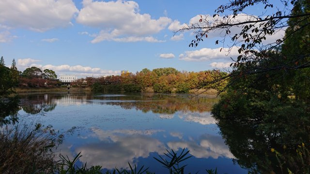 長久手市杁ヶ池一棟売りマンションのその他