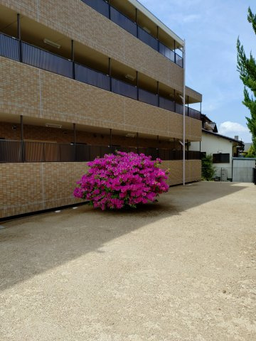 長久手市杁ヶ池一棟売りマンションの中庭