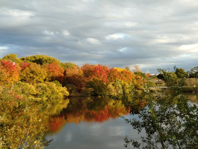 長久手市杁ヶ池一棟売りマンションの周辺