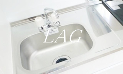 【その他】 | バイラタカサゴ | シンクです。