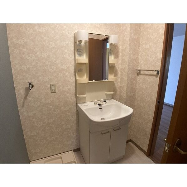 ボイス中島の洗面所