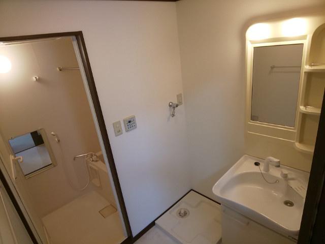 ハートヒルズ西大友の洗面所