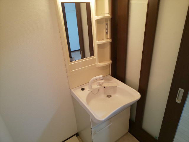 ハートヒルズ西大友の洗面所