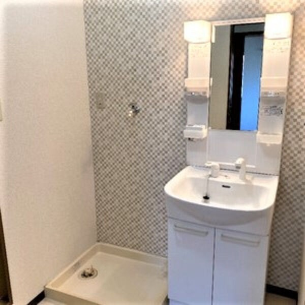 ハイステージ城山の洗面所