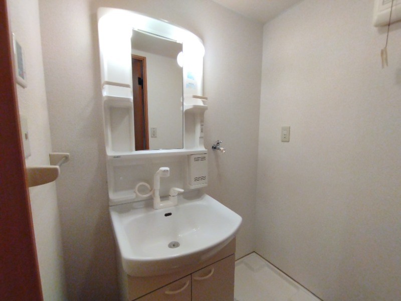 メゾン六名パークの洗面所