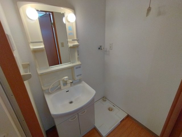 ブルーサンズセントラルの洗面所