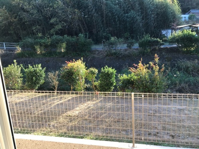 リベルタＳの展望