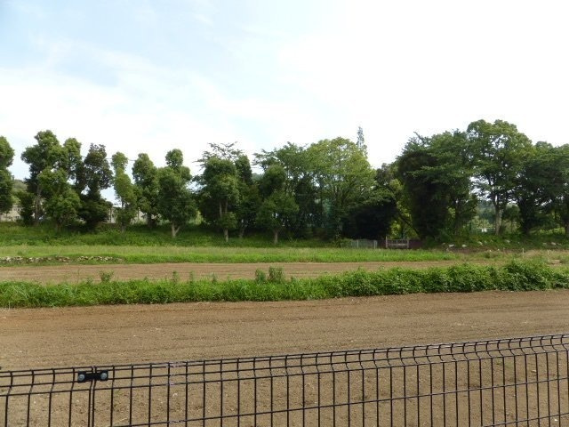 ヴィレッジゆたかⅡの展望