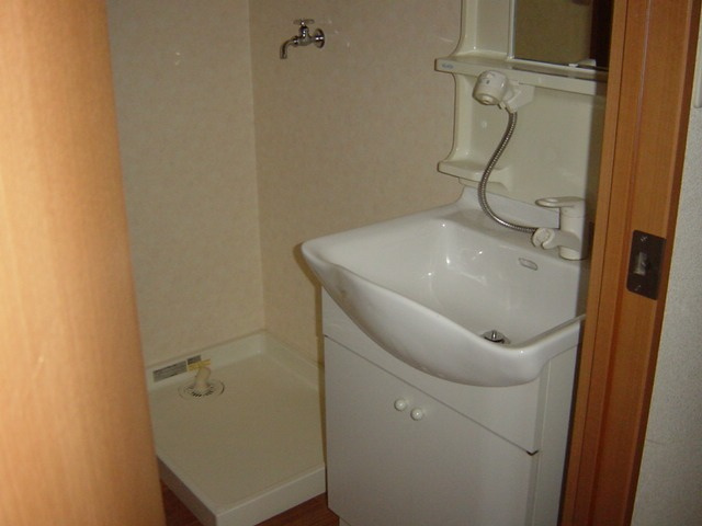 レジデンスミレニアムの洗面所