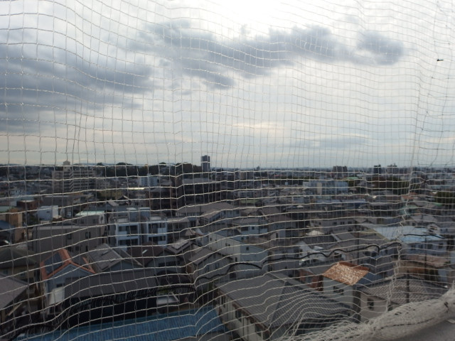 コメルスＶの展望