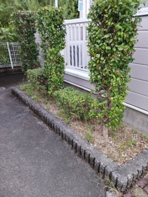 【その他】 | カーサ・プラテリーアＡ