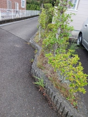 【その他】 | カーサ・プラテリーアＡ