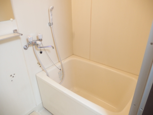 エレガンスハイツ金子の浴室