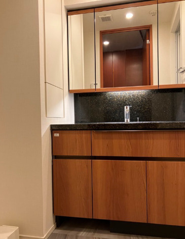 豊島区南大塚１丁目の賃貸マンションの洗面所