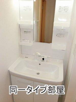 ロイヤル　グレイスⅠの洗面所