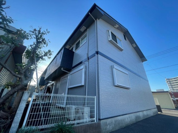 Bee アムールの画像