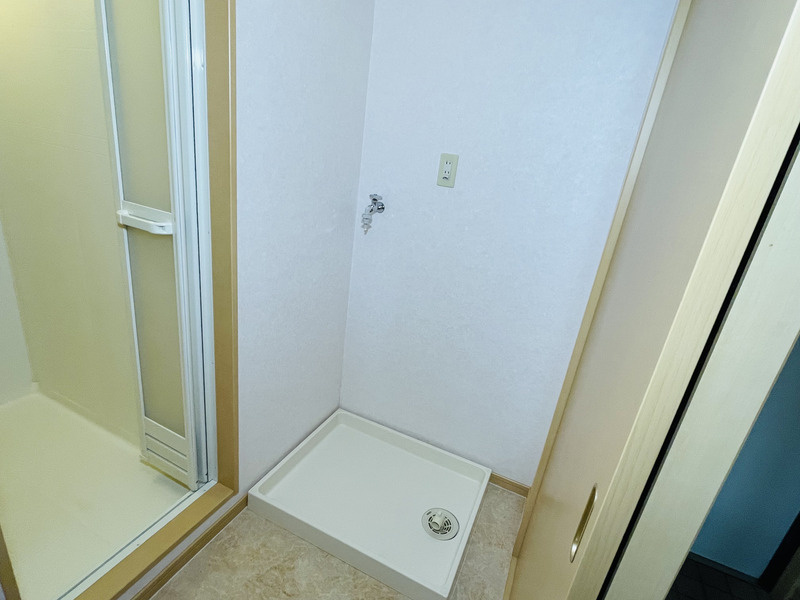 サンサンフラワー菊陽の洗面所