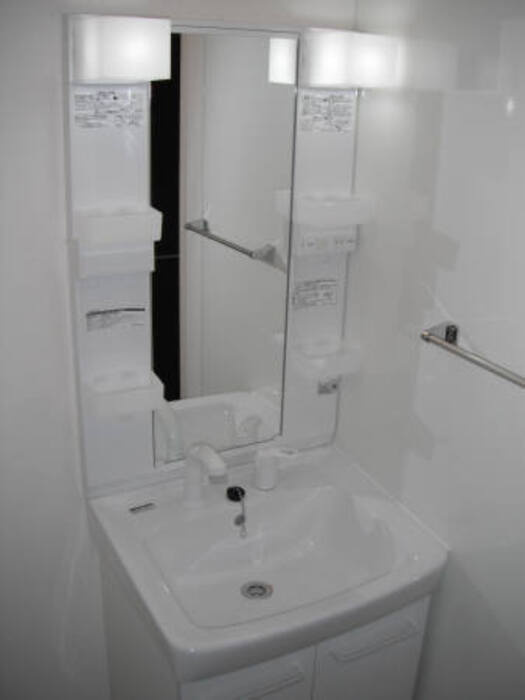 スリー・スター Ⅳ号館 Ａの独立洗面台|洗面台