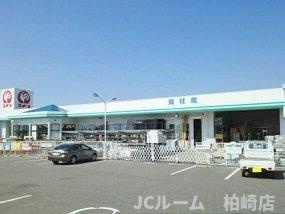 Ｌ．アウラツム　Ⅴの周辺|コメリハード＆グリーンまで2240m