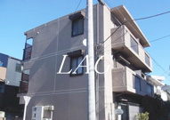 Ｅｖｅｒ　Ｇｒｅｅｎ　66の画像