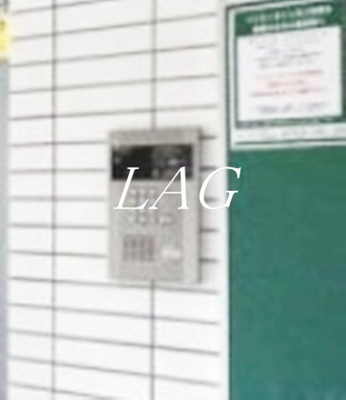 【セキュリティ】 | ミリオンコート駒込 | オートロックになります。