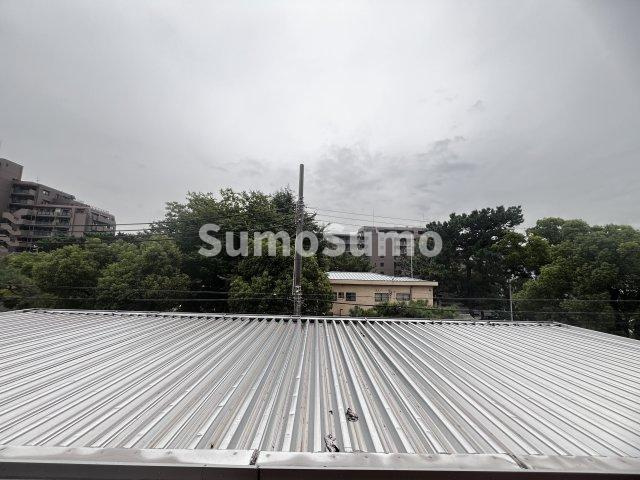 アルファコートの展望