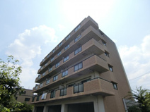 カモミール・ブランの画像