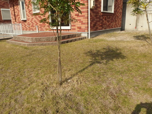 Ｒｏｃｋｙ　Ｍｏｏｎ　Ｈｉｌｌｓ　Ｂ棟のその他共用部分