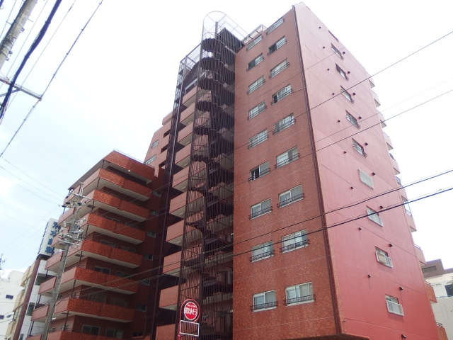 シャンボール康生