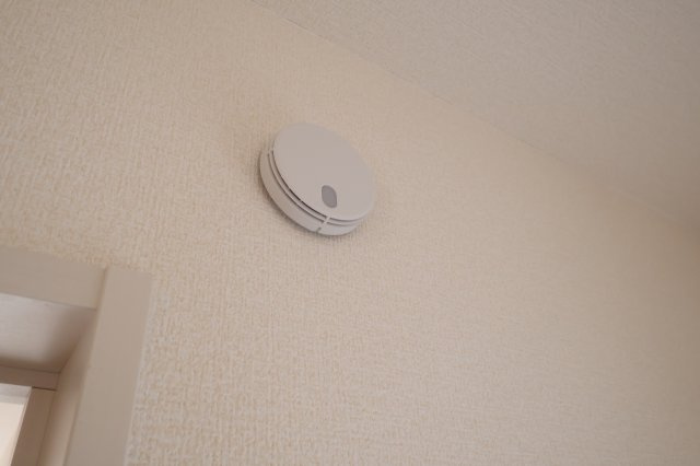 《仲介手数料無料》大宮区堀の内町２丁目103-1(4号棟)新築一戸建てブルーミングガーデンのその他|2025年11月9日 11:45 雨