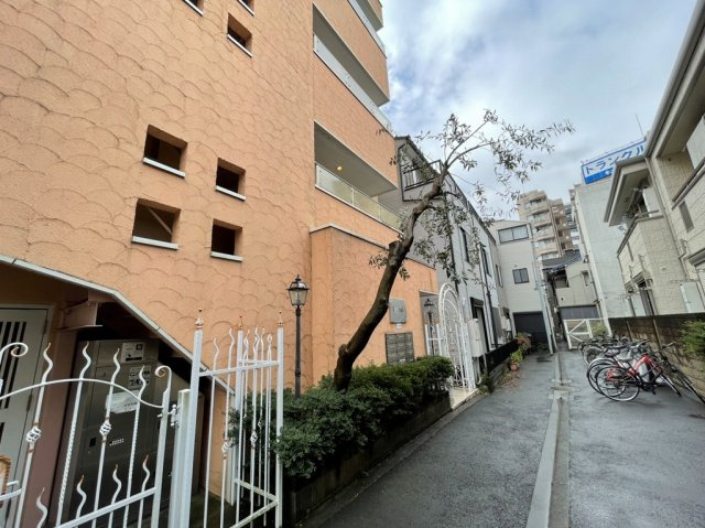 プライマル白山の周辺