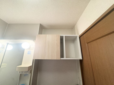 【洗面所】 | アンバサダーヒルズ Ｃ | 洗面所の収納