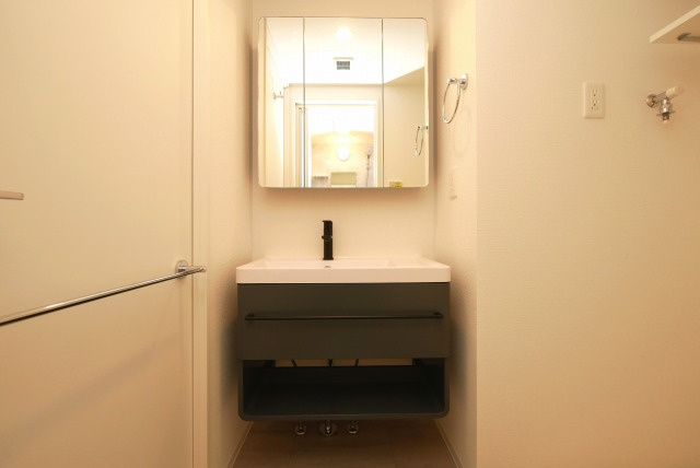 セレニテ難波ミラク参番館の洗面所